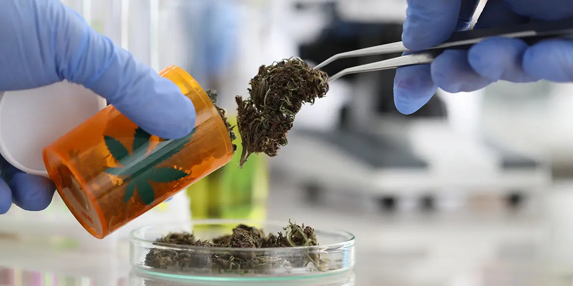 Medizinisches Cannabis: Alles, was du über medizinisches Cannabis auf Rezept wissen musst