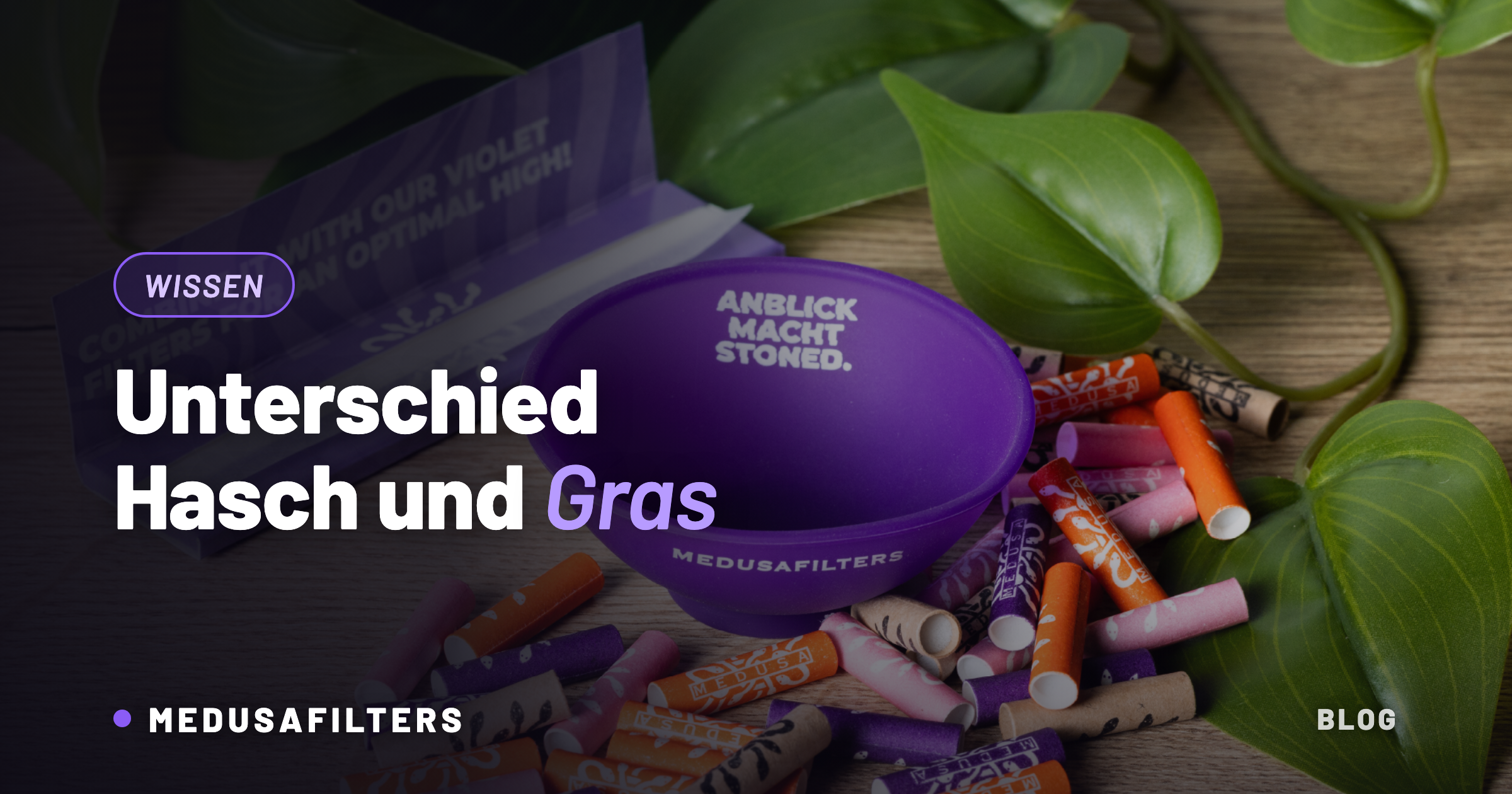 Medusafilters Hashbowl in Violet mit Aktivkohlefiltern auf Holztisch – Unterschied Hasch und Gras