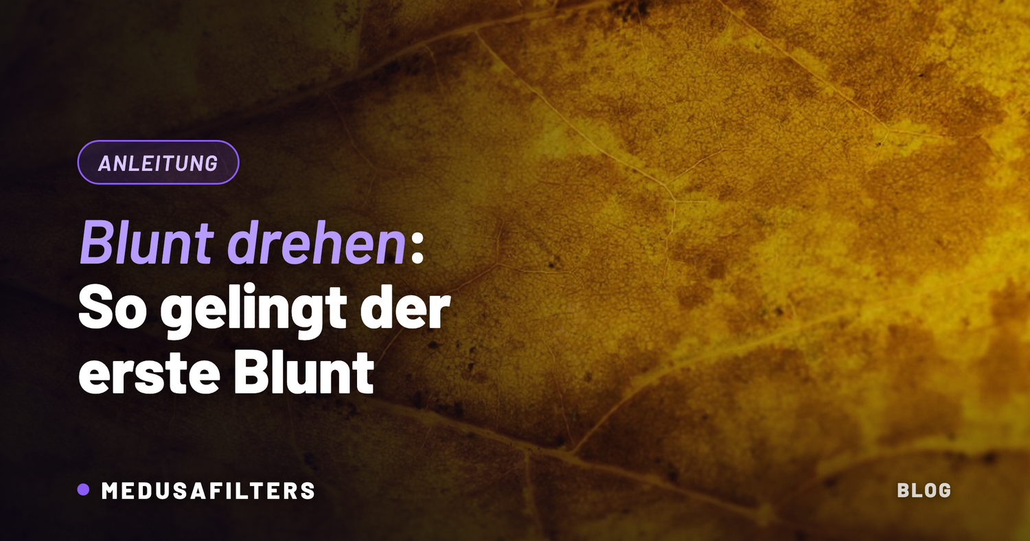 Makroaufnahme eines getrockneten Tabakblatts – Wickelmaterial zum Blunt drehen