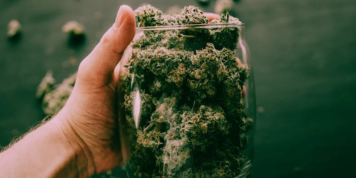 cannabis fermentieren coffeeshop gras selbst machen