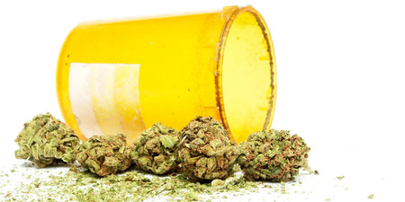 Hat Cannabis ein Verfallsdatum? Marihuana so lange wie möglich haltbar machen image