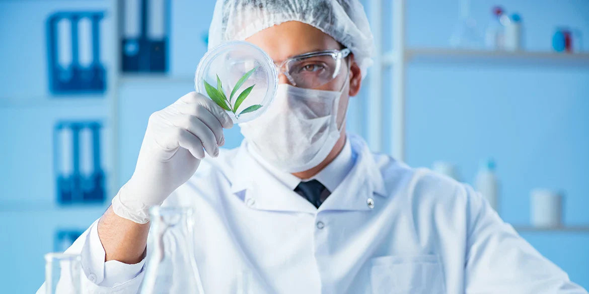 cannabis pflanze bestandteile untersuchen