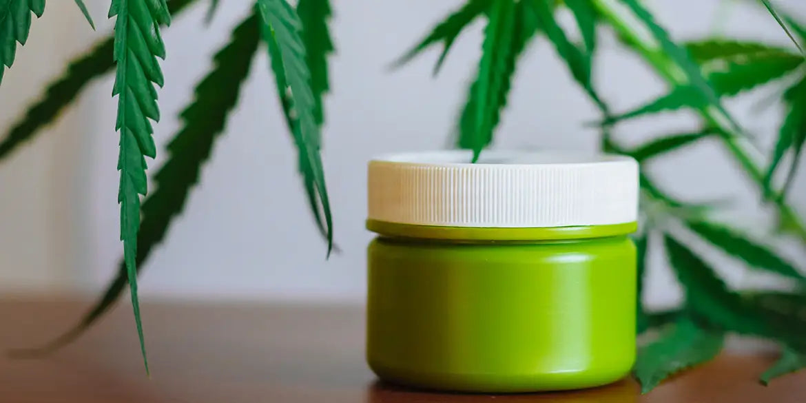 hanfsalbe hanfblätter salbe tube