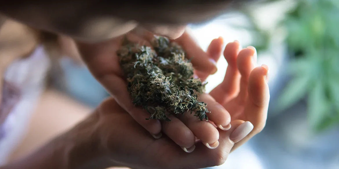 HHC Wirkung - Das sind die Unterschiede zu THC & CBD