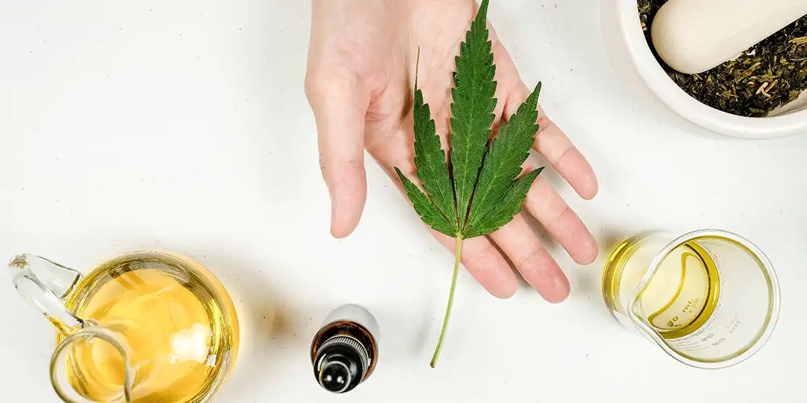 Cannabis Sommelier: Ausbildung, Aufgaben und Bedeutung der Cannabis Experten