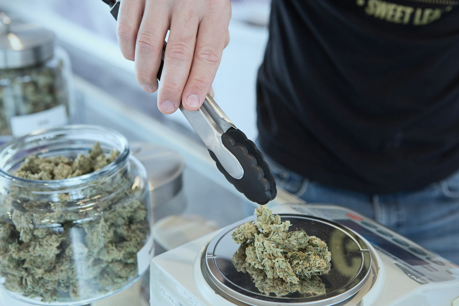 Medizinisches Cannabis und Wechselwirkungen mit anderen Medikamenten: Worauf die Patienten achten sollten