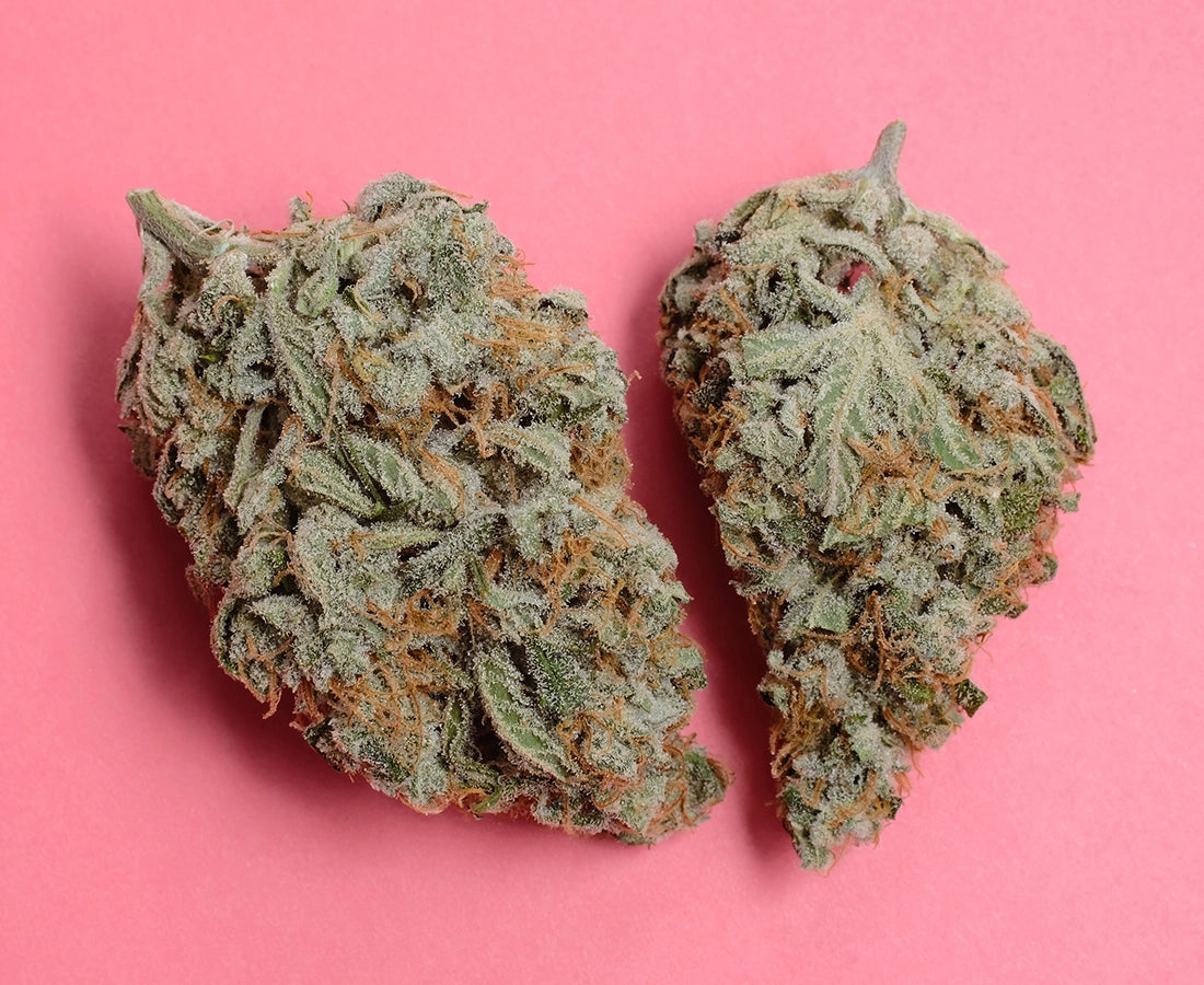 Cannabis getrocknet