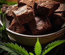 brownies edibles marihuana cannabis