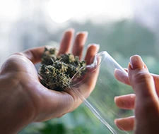 luftfeuchtugkeit und feuchtigkeit cannabis lagerung schimmel bildung bakterien