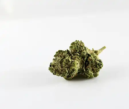 Super Silver Haze Bud