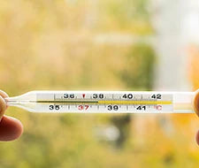 temperatur cannabis lagerung hanf marihuana länger haltbar machen