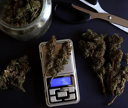 Cannabis Dosierung mit Waage