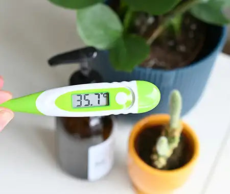 Temperatur messen Pflanzenanbau