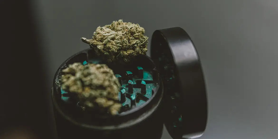 Grinder crusher Marijuanaknollen