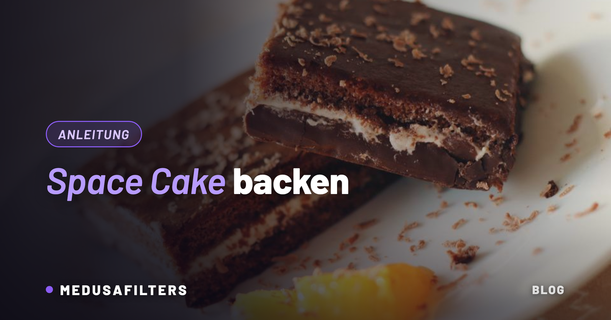 Space Cake backen: zwei Stücke Schoko-Kuchen mit Schokoladenraspeln auf einem weißen Teller