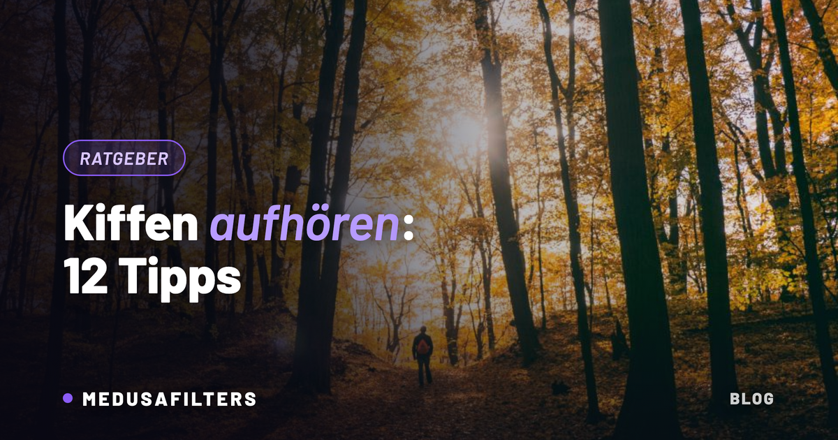 Kiffen aufhören: Person geht allein auf einem Waldweg durch den herbstlichen Wald ins Gegenlicht