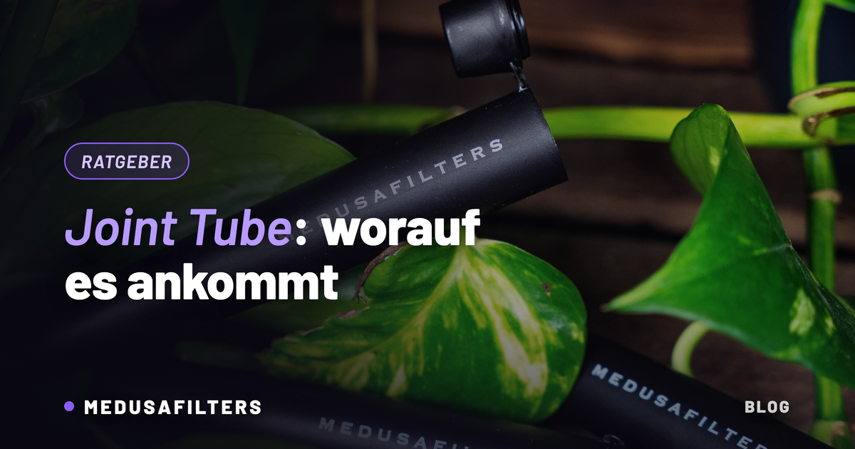 Joint Tube in Schwarz mit geöffnetem Klappdeckel zwischen grünen Blättern, geruchsdichte Röhre für King-Size-Joints
