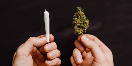 Spine CBD e sigarette CBD in Germania - Come si può fumare CBD? image