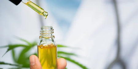 CBD Liquid - Warum ist CBD Dampfen im Trend? image