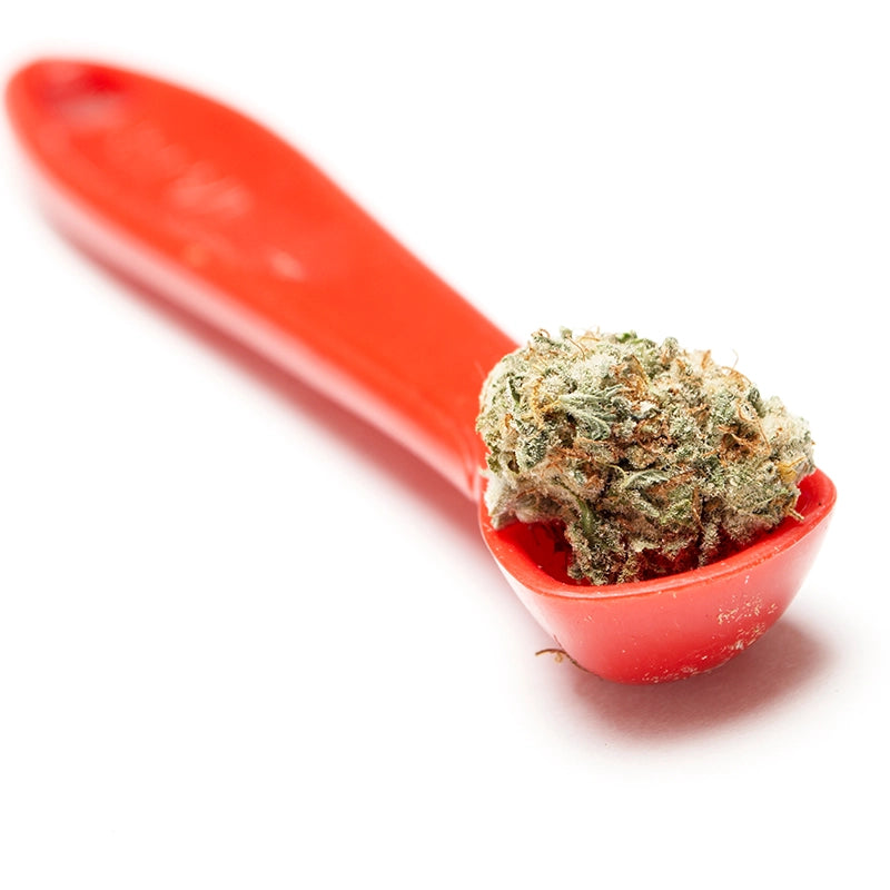 Strawberry Cough Strain Cannabis 