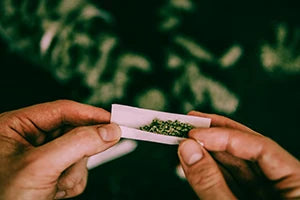 bunte geschichte des joints joint marihuanana cannabis geschichte entwicklung