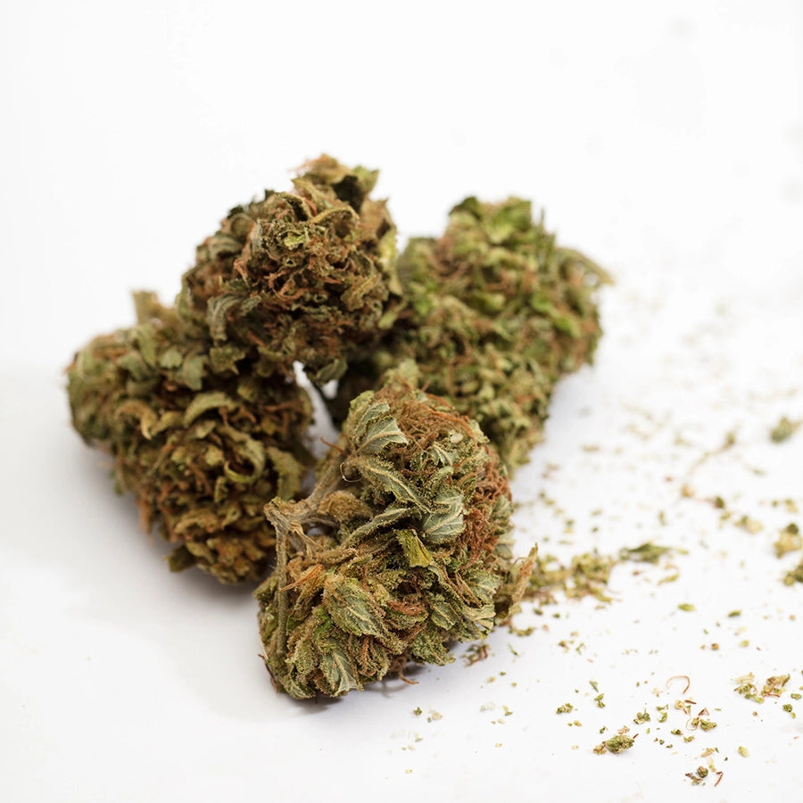 Cannabissorte Super Skunk